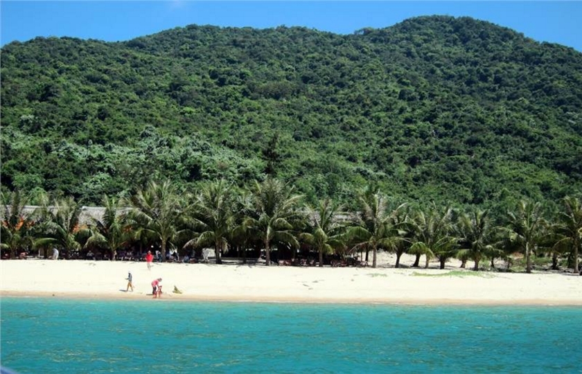 Discovery The Cham Island 1 Day Trip