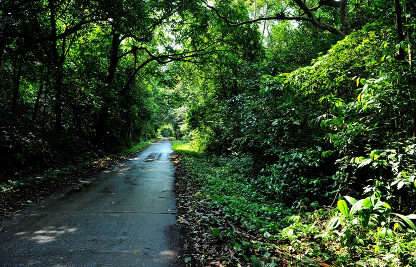 Cuc Phuong National Park 1 day